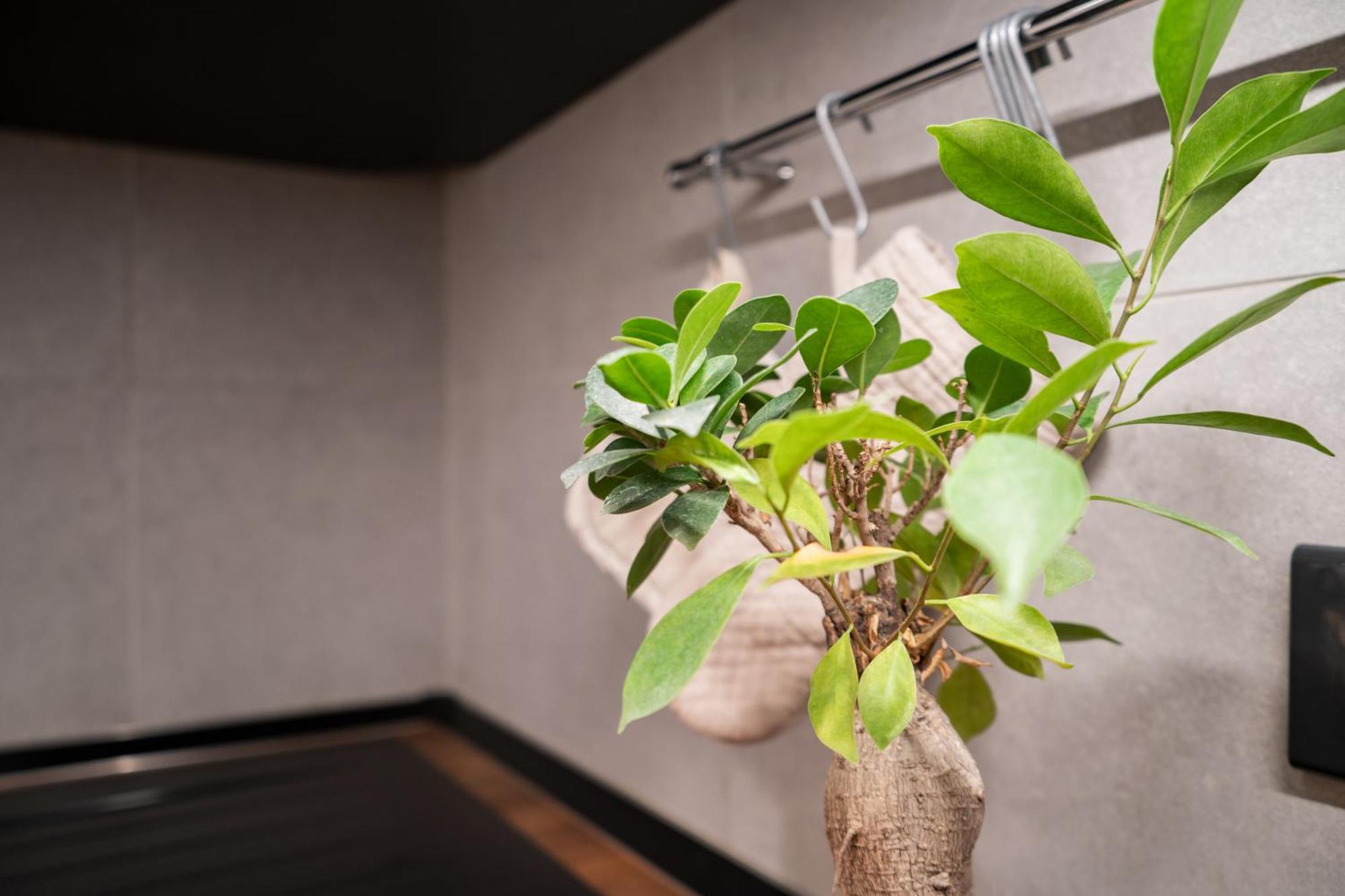 Brera-centro, Stylish And New Apartamento